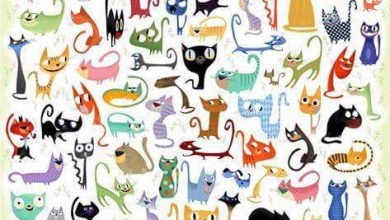 mundo de los gatos 390x220 - Mundo de los gatos