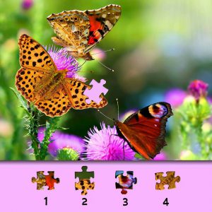 rompecabezas de la mariposa 300x300 - Taj Mahal puzzle